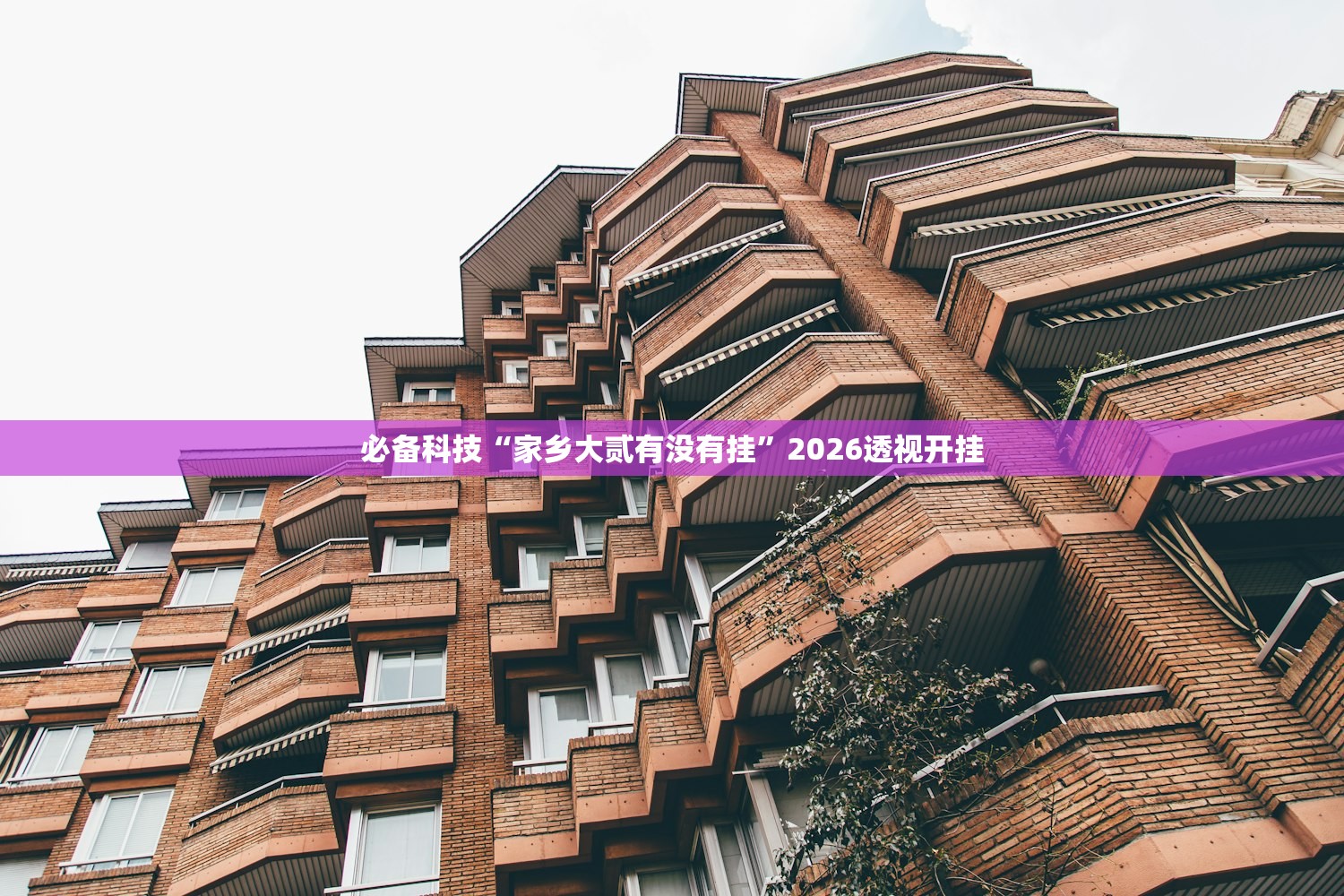 必备科技“家乡大贰有没有挂”2026透视开挂