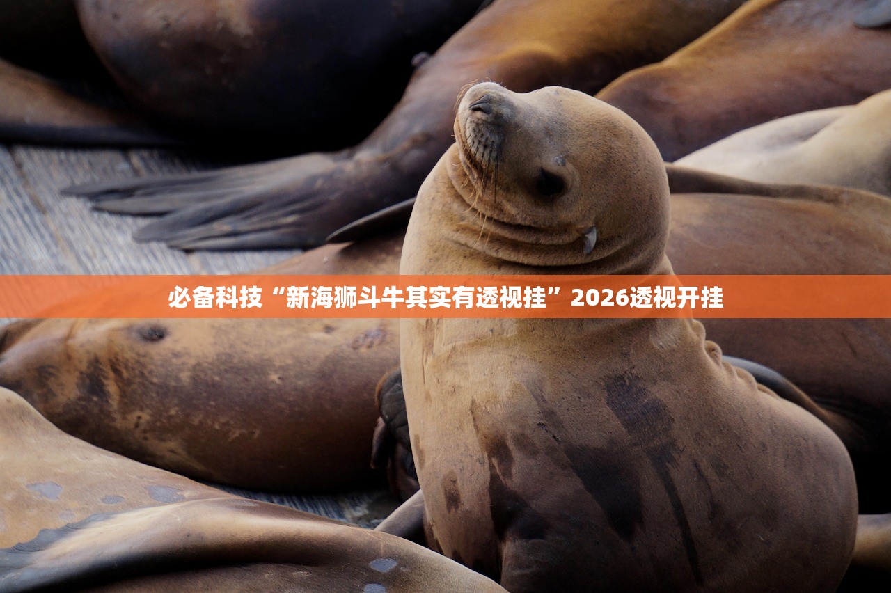 必备科技“新海狮斗牛其实有透视挂”2026透视开挂