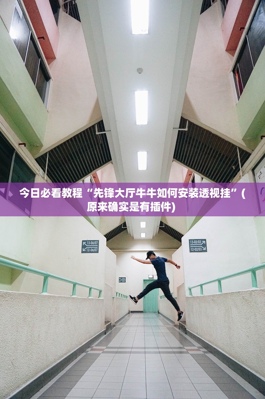 今日必看教程“先锋大厅牛牛如何安装透视挂	”(原来确实是有插件) 