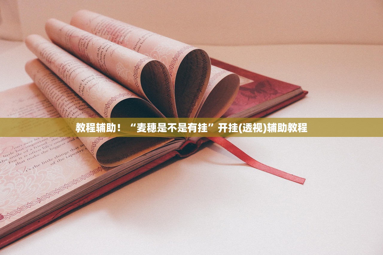 教程辅助！“麦穗是不是有挂”开挂(透视)辅助教程