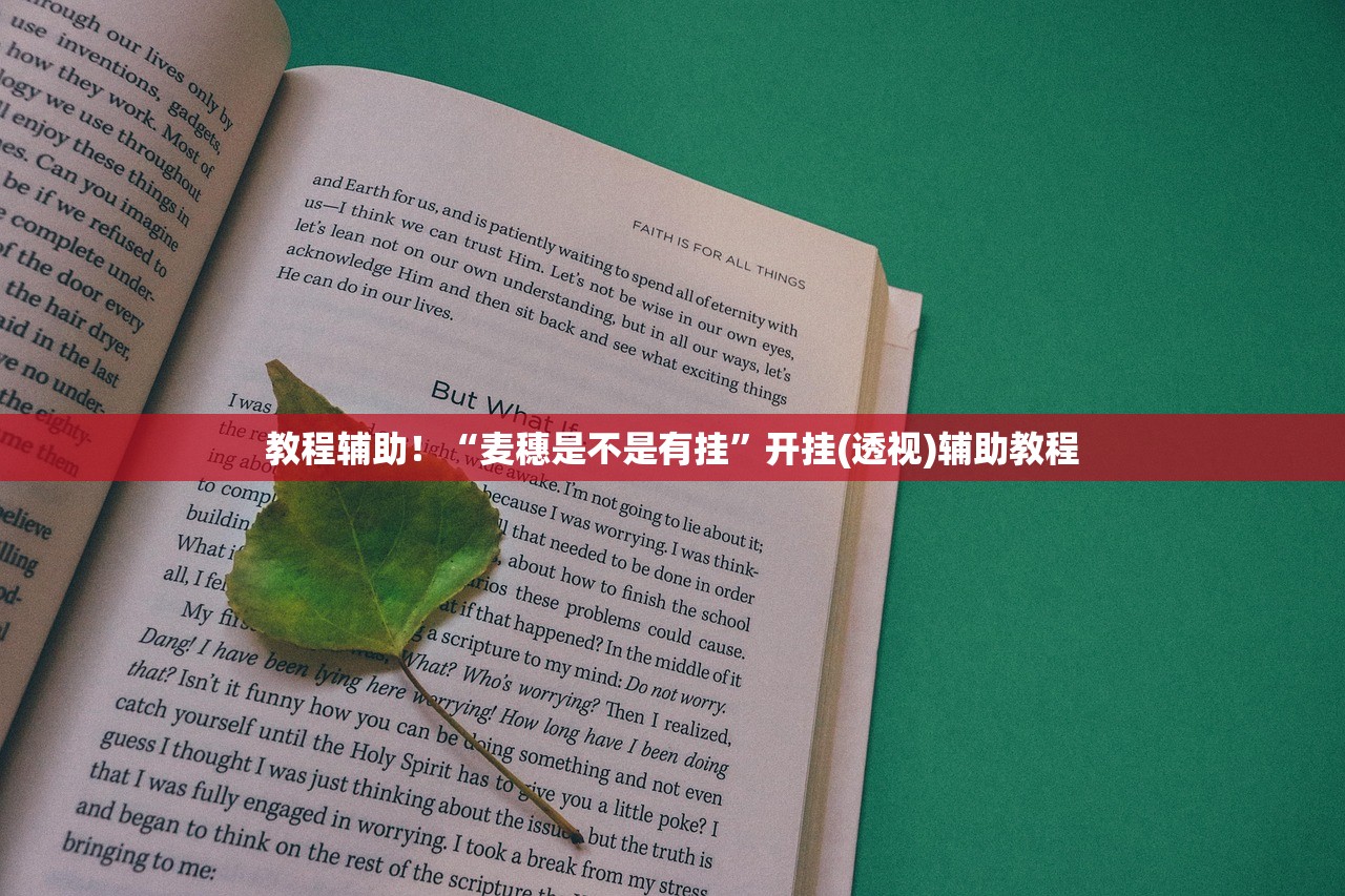 教程辅助！“麦穗是不是有挂”开挂(透视)辅助教程