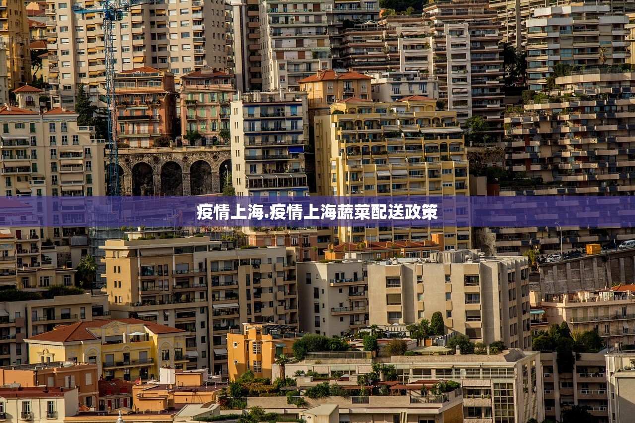 疫情上海.疫情上海蔬菜配送政策