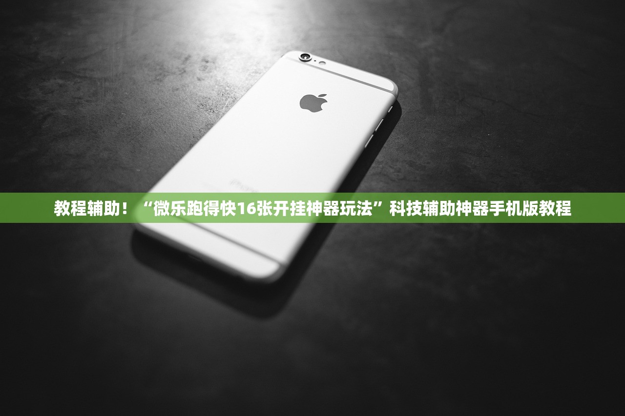 教程辅助！“微乐跑得快16张开挂神器玩法”科技辅助神器手机版教程
