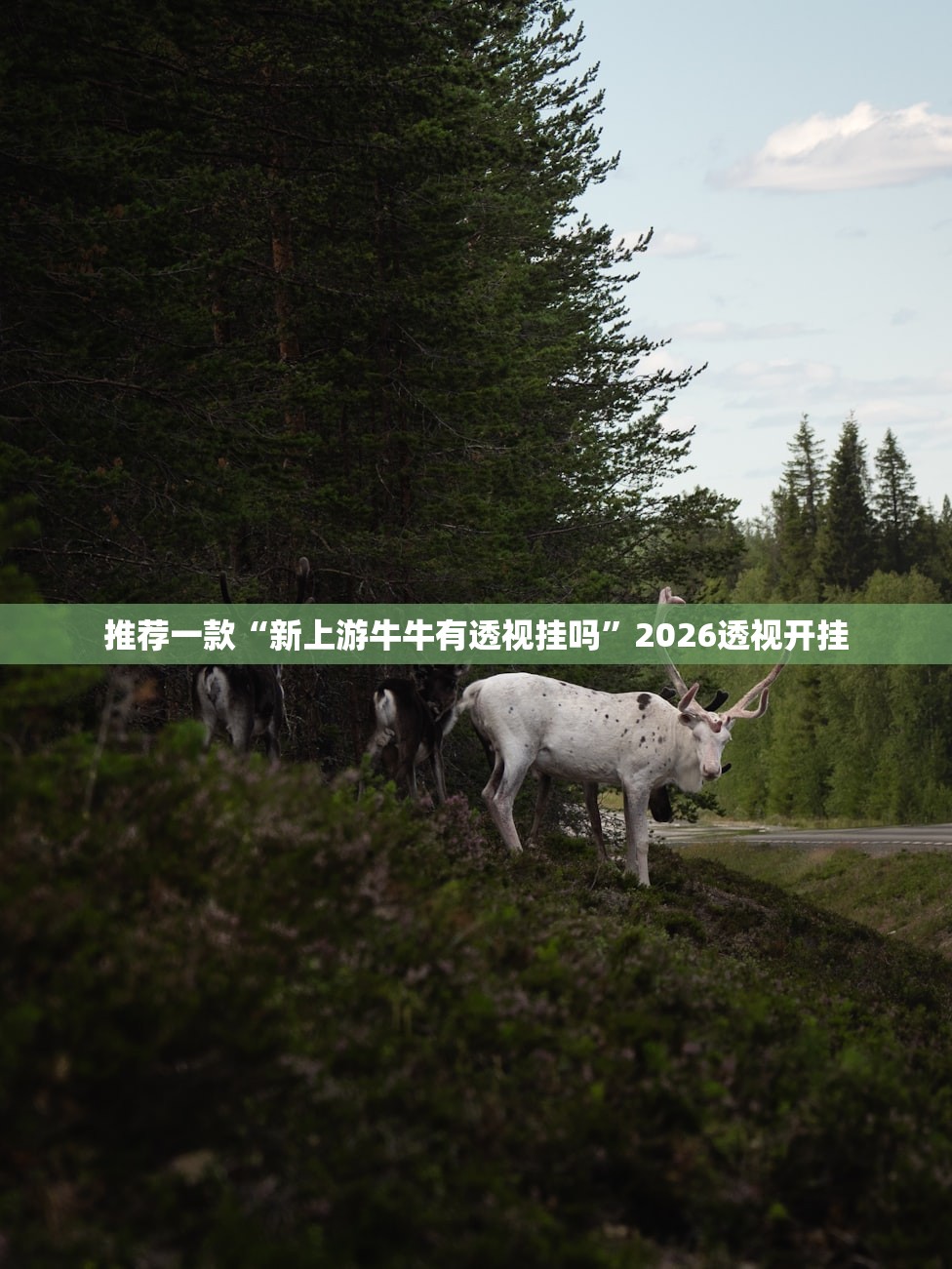 推荐一款“新上游牛牛有透视挂吗”2026透视开挂