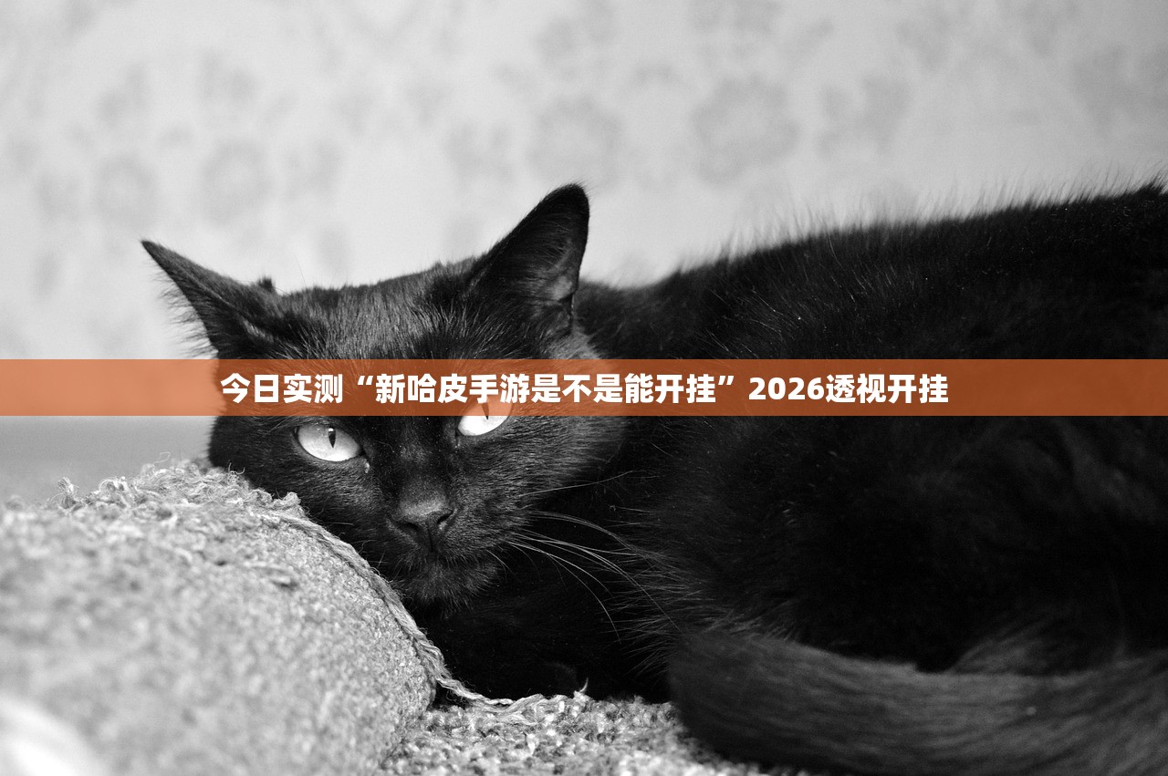 今日实测“新哈皮手游是不是能开挂”2026透视开挂
