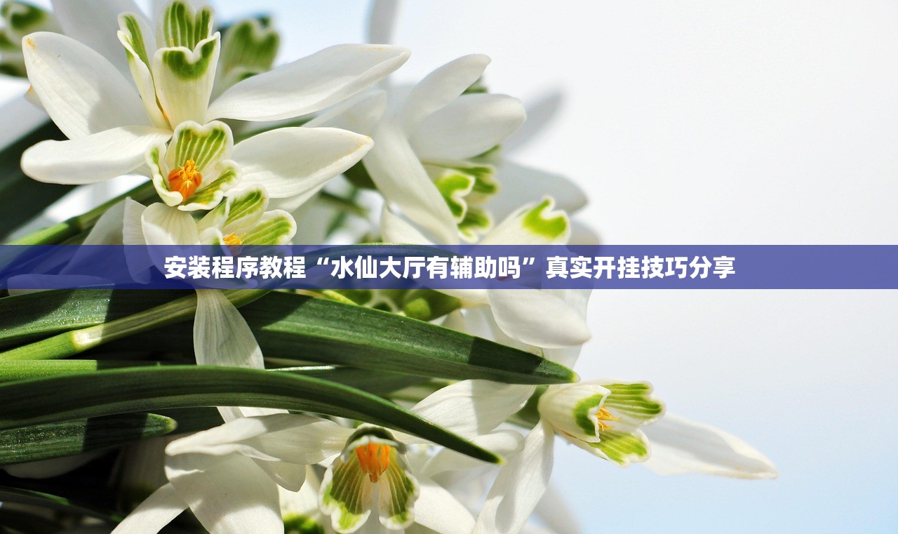 安装程序教程“水仙大厅有辅助吗”真实开挂技巧分享