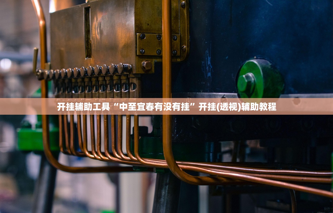 开挂辅助工具“中至宜春有没有挂”开挂(透视)辅助教程