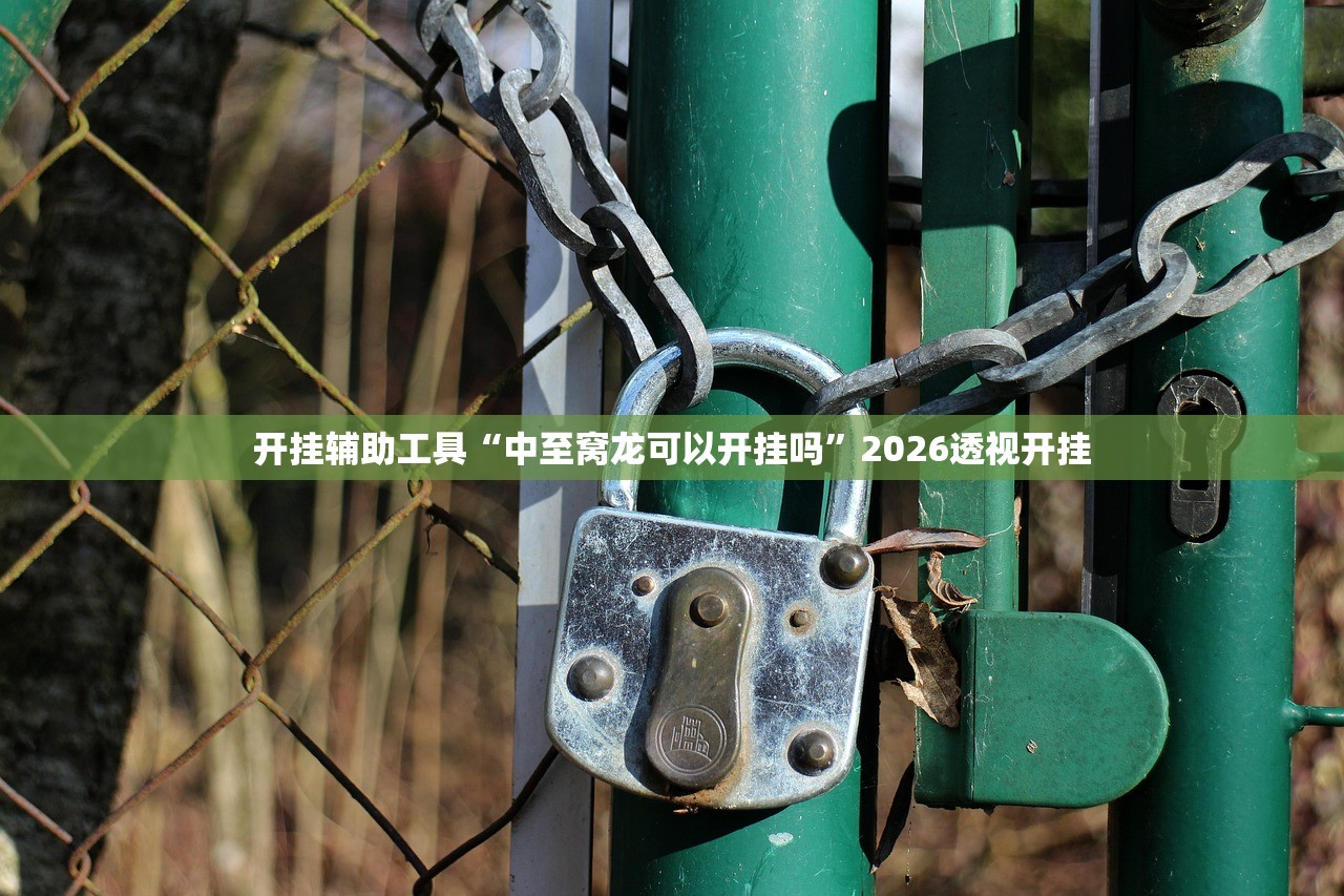开挂辅助工具“中至窝龙可以开挂吗”2026透视开挂