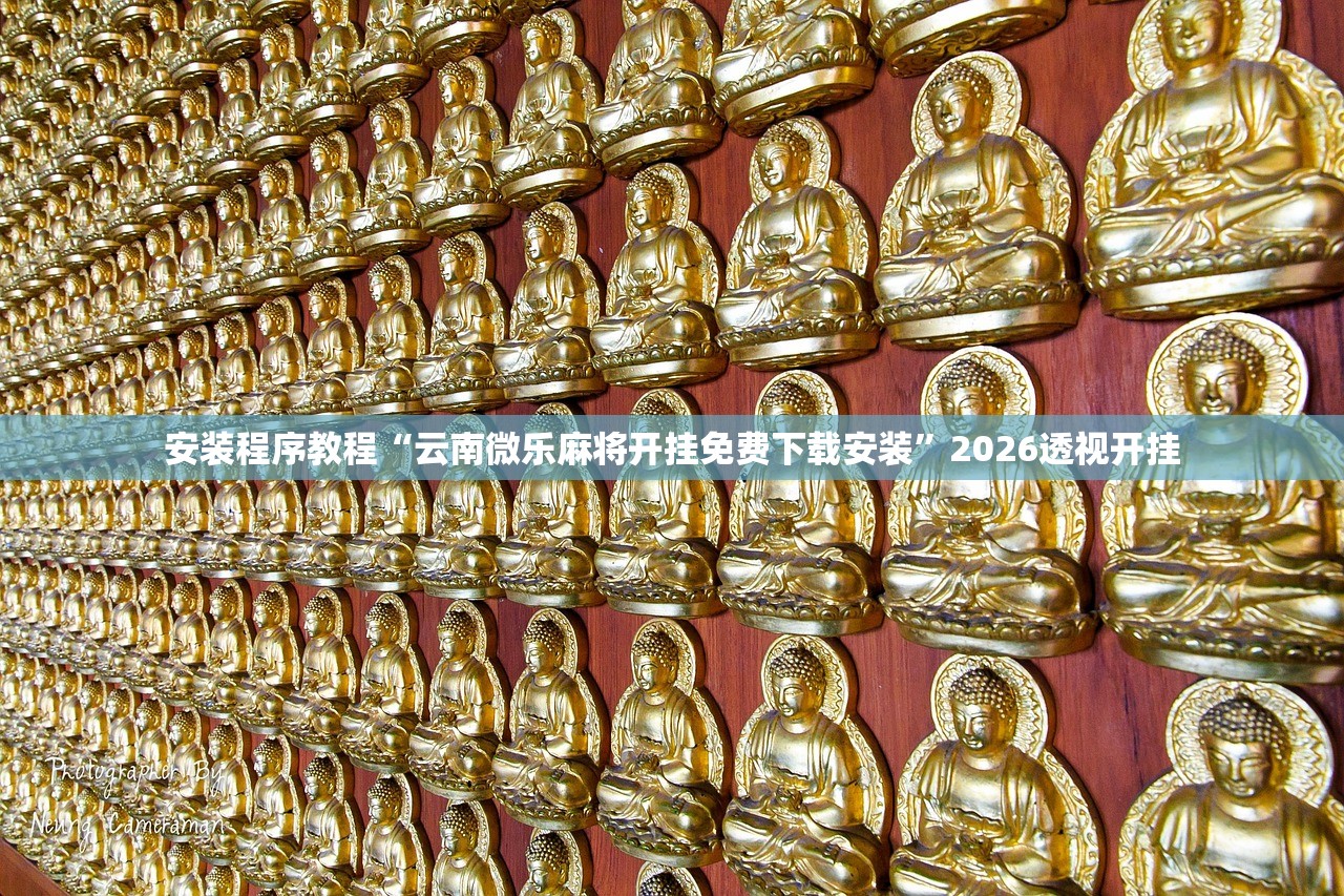 安装程序教程“云南微乐麻将开挂免费下载安装”2026透视开挂