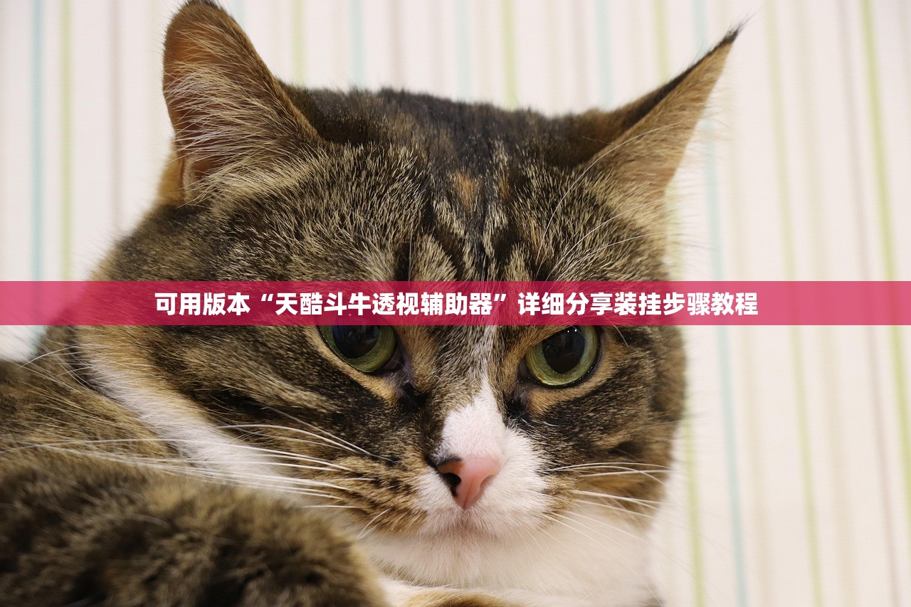 科普实测“wepoker透视软件”开挂(透视)辅助教程
