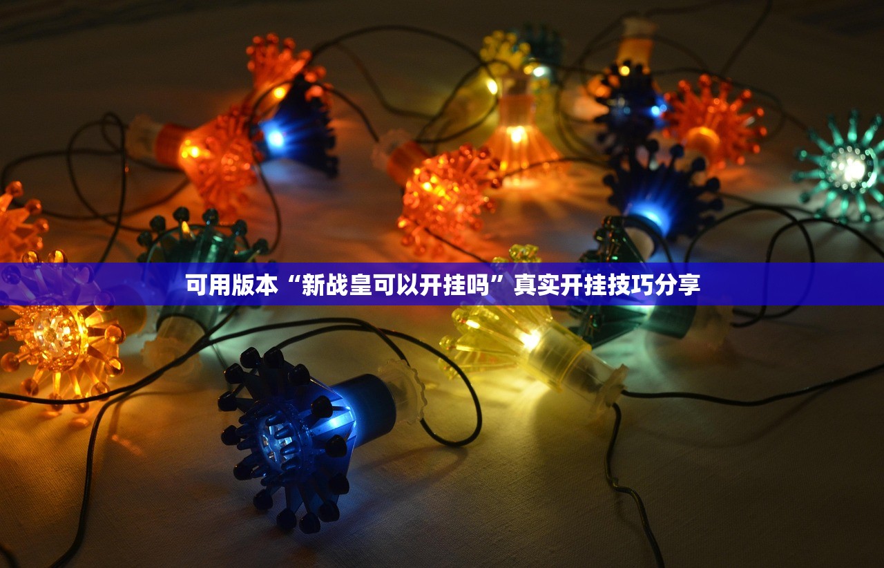 可用版本“新战皇可以开挂吗”真实开挂技巧分享