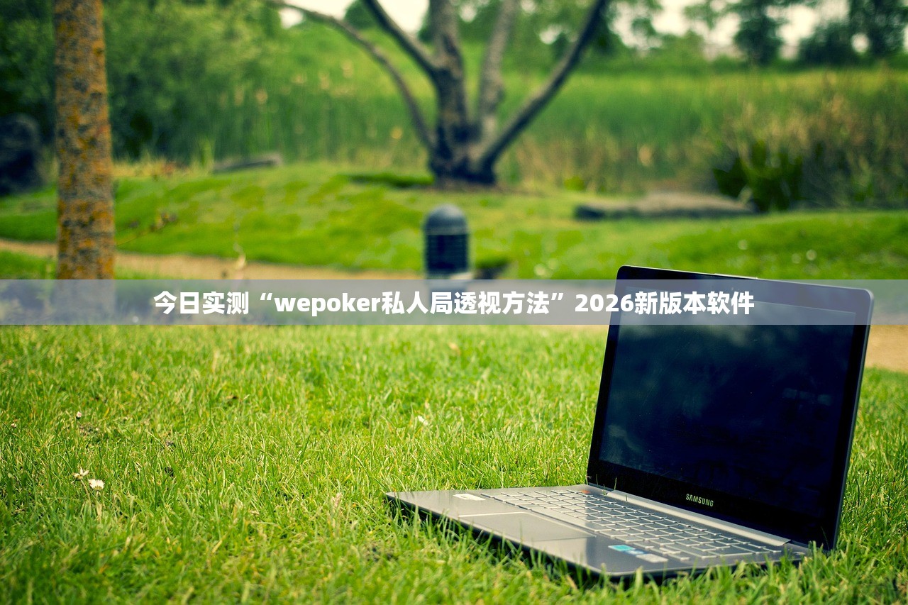 今日实测“wepoker私人局透视方法”2026新版本软件