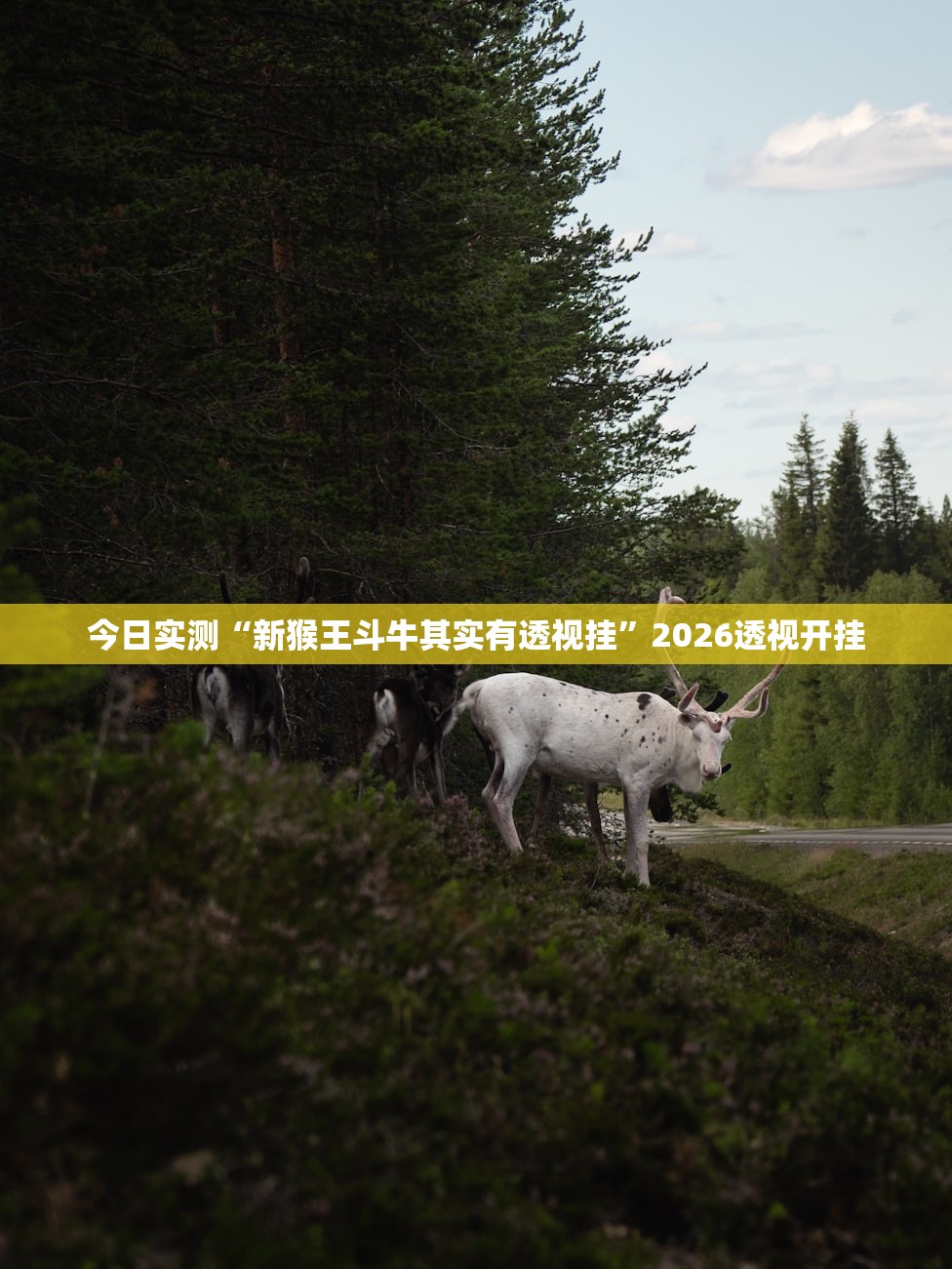 教程解析“约局互娱有开挂辅助吗	”2026开挂教程步骤