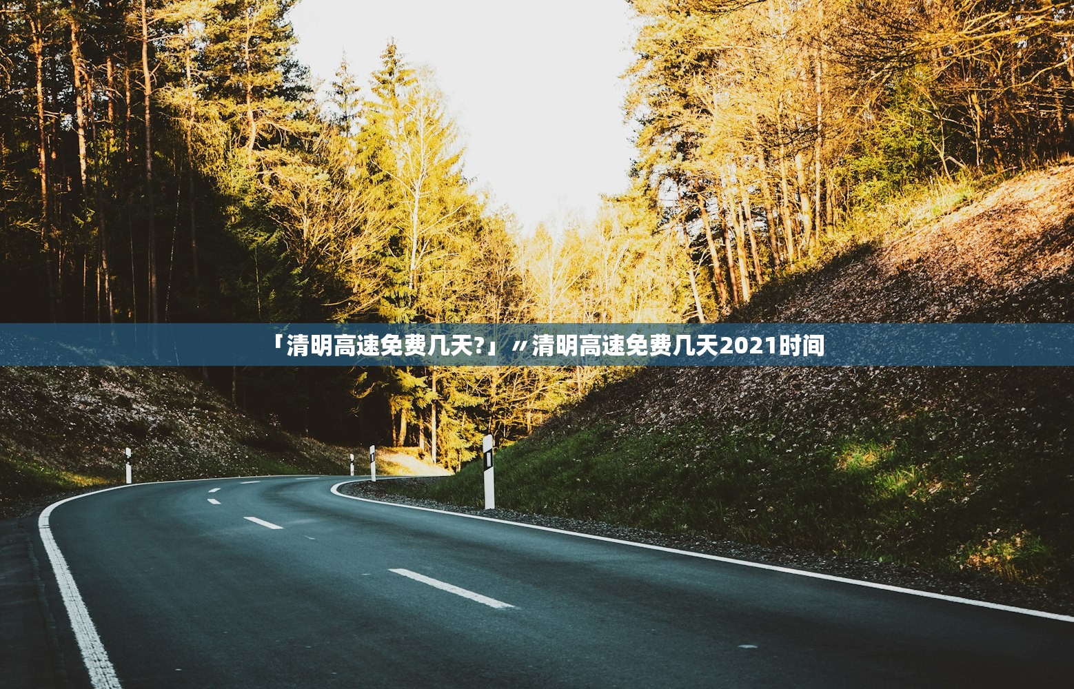 辅助神器“微乐保皇外卦神器下载安装”(曝光透视必备猫腻)