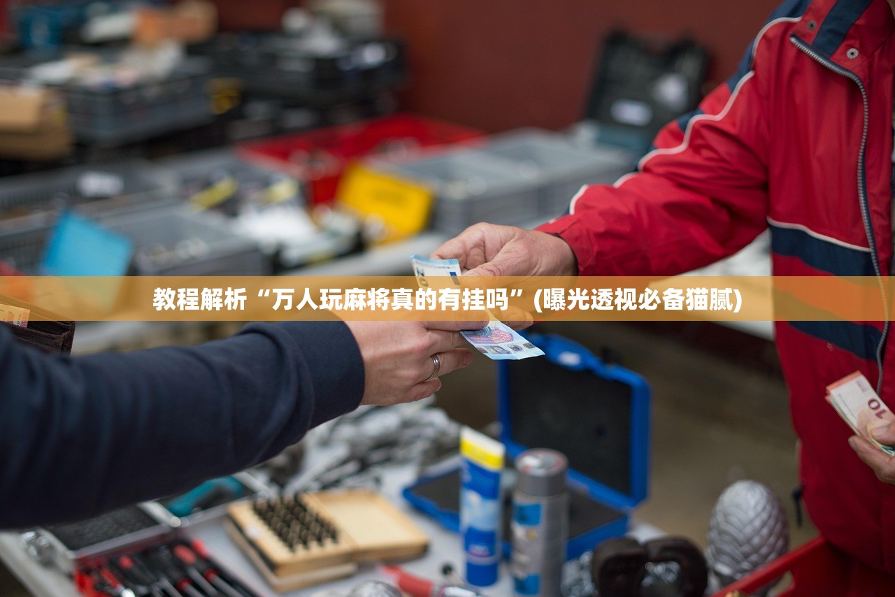 教程解析“万人玩麻将真的有挂吗	”(曝光透视必备猫腻)
