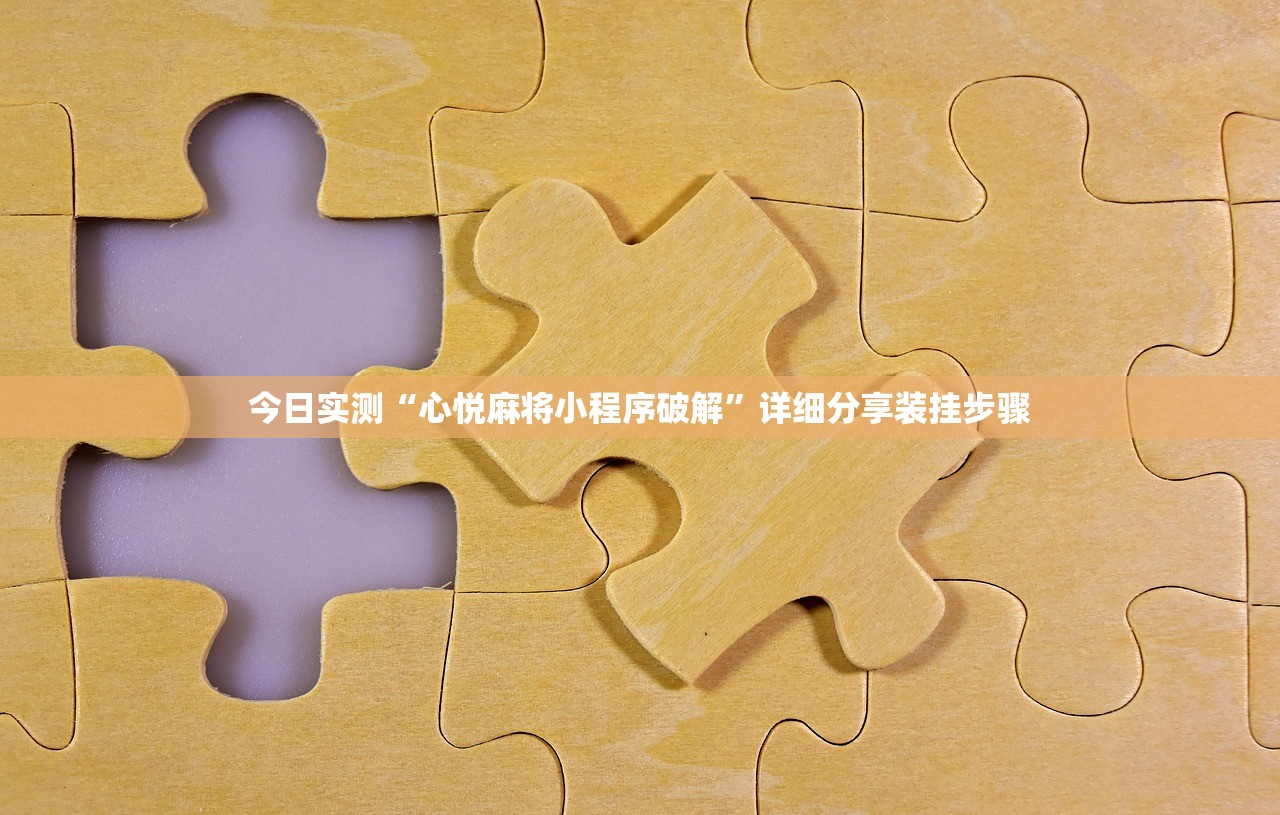 今日实测“心悦麻将小程序破解”详细分享装挂步骤