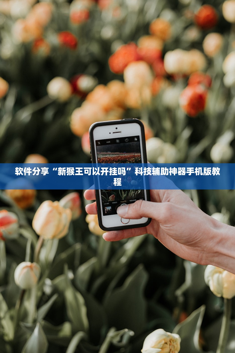 开挂辅助工具“衢州都莱怎么提高胜率”开挂(透视)辅助教程