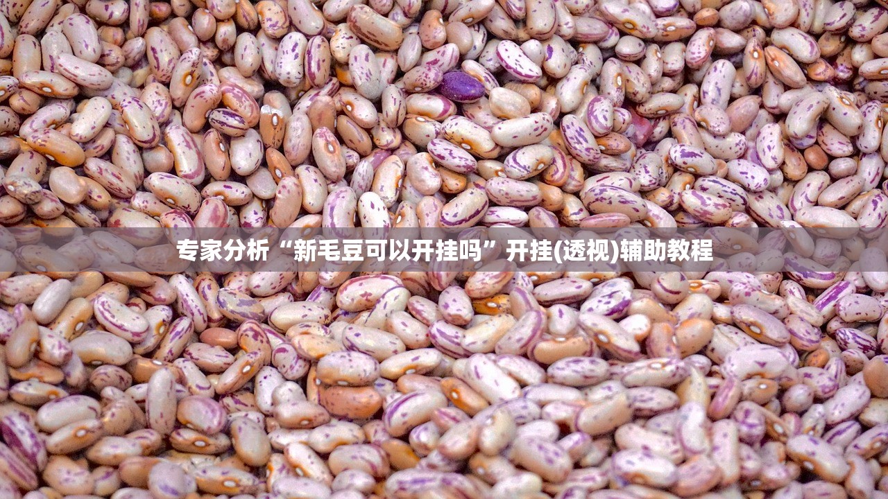 专家分析“新毛豆可以开挂吗”开挂(透视)辅助教程