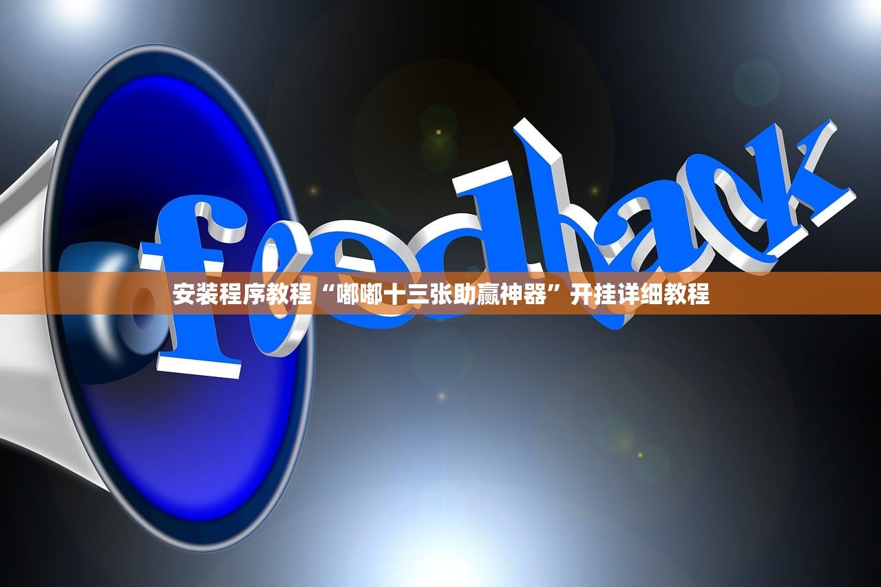 安装程序教程“嘟嘟十三张助赢神器”开挂详细教程