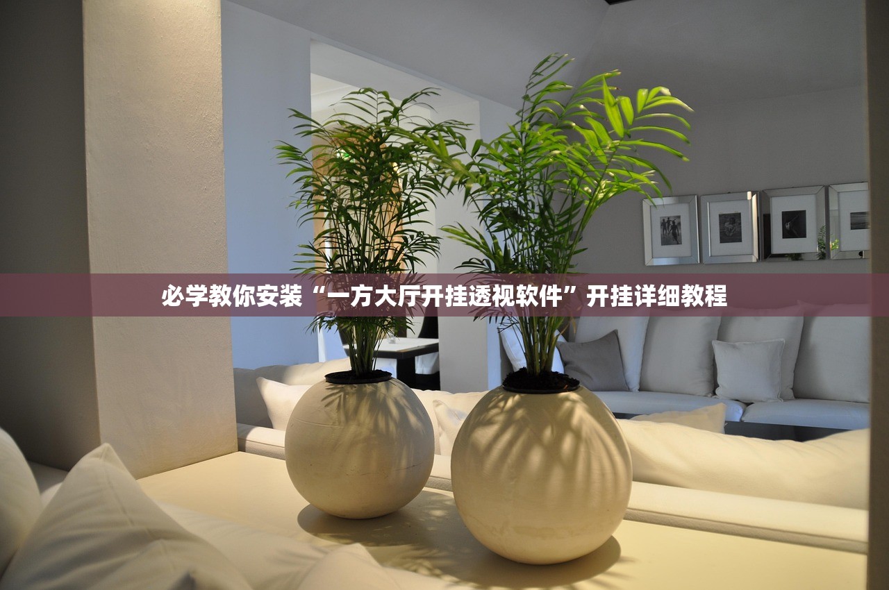必学教你安装“一方大厅开挂透视软件”开挂详细教程
