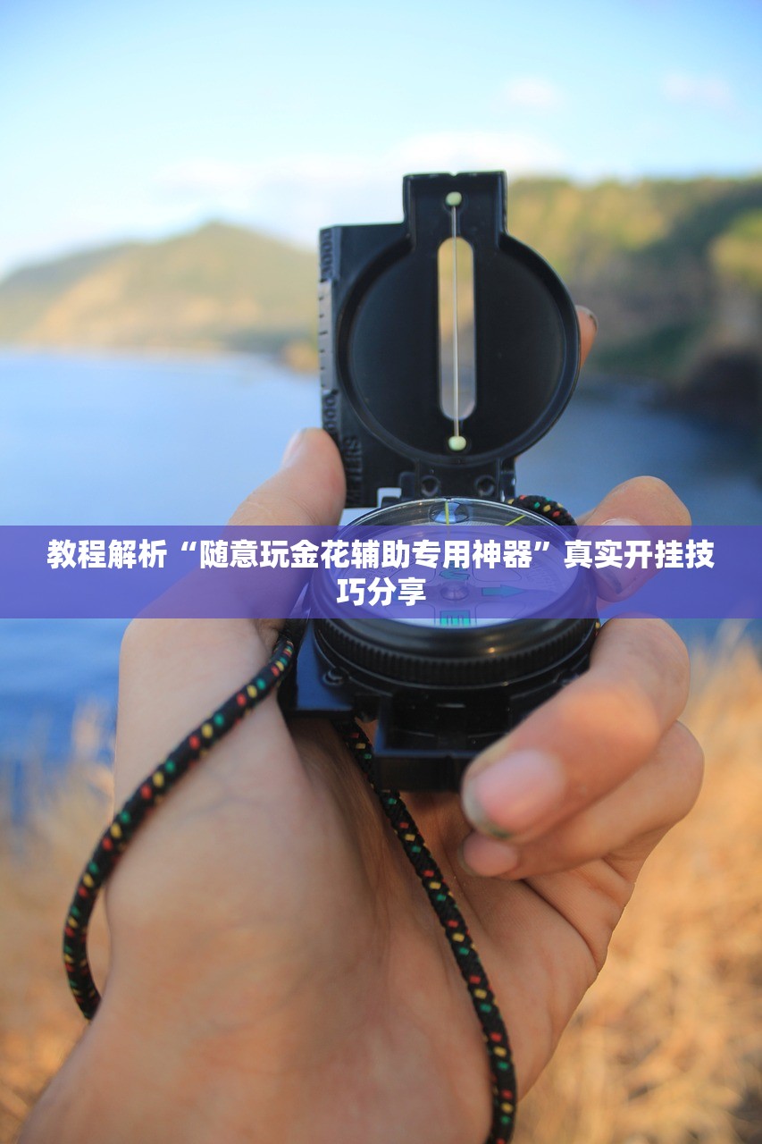 教程解析“随意玩金花辅助专用神器”真实开挂技巧分享