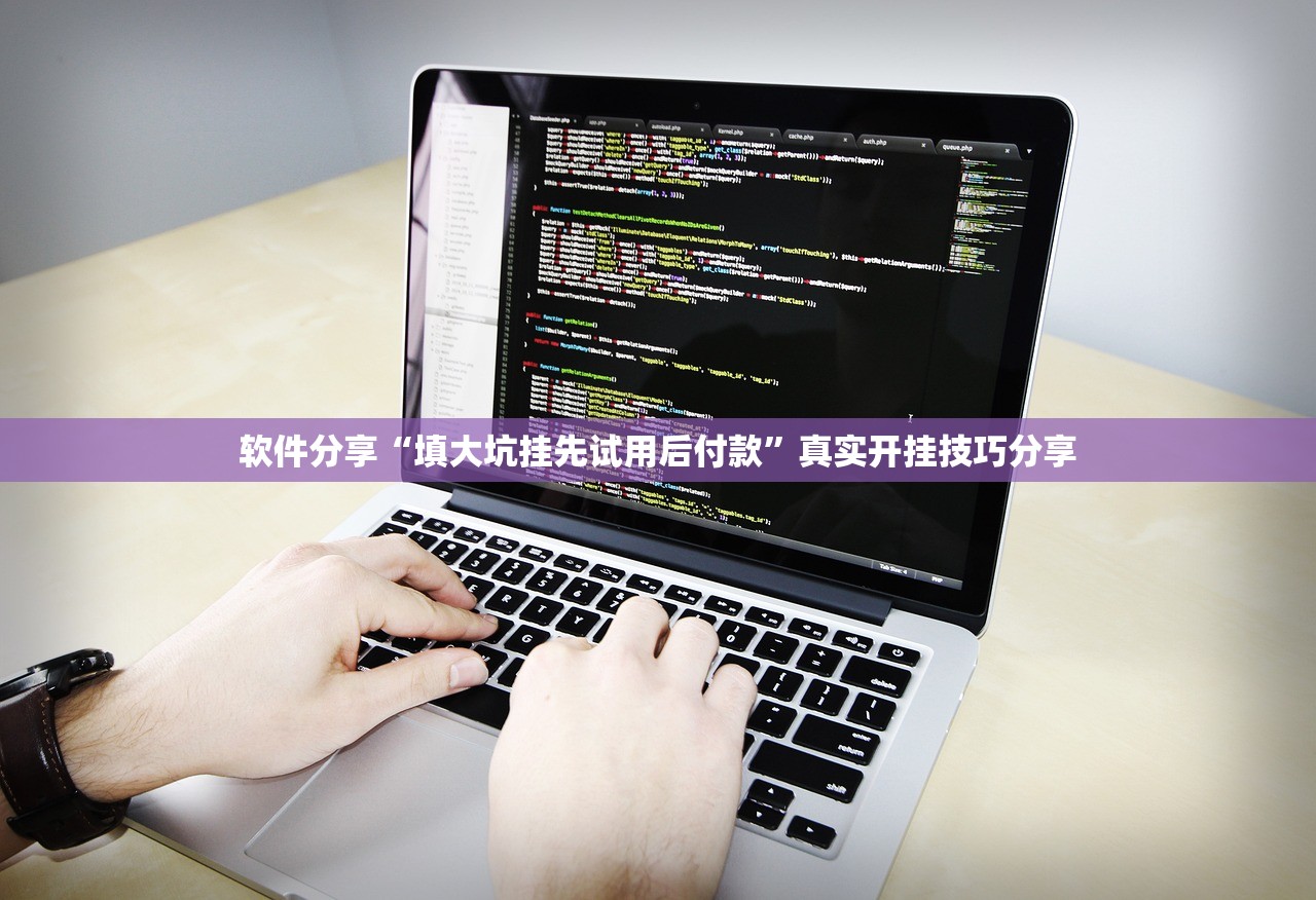 软件分享“填大坑挂先试用后付款”真实开挂技巧分享