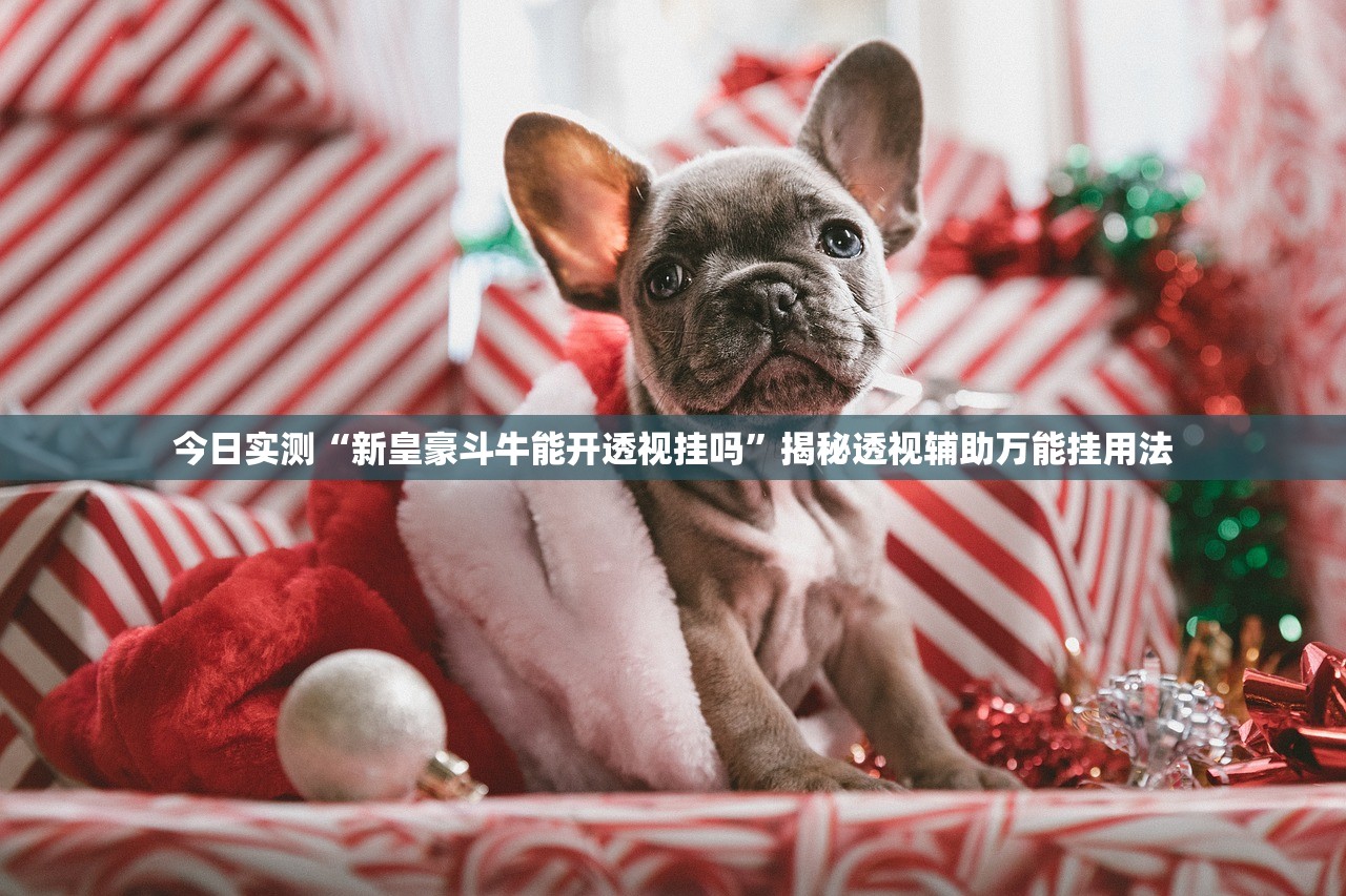 教程辅助“大满贯娱乐是不是有挂”科技辅助神器手机版教程