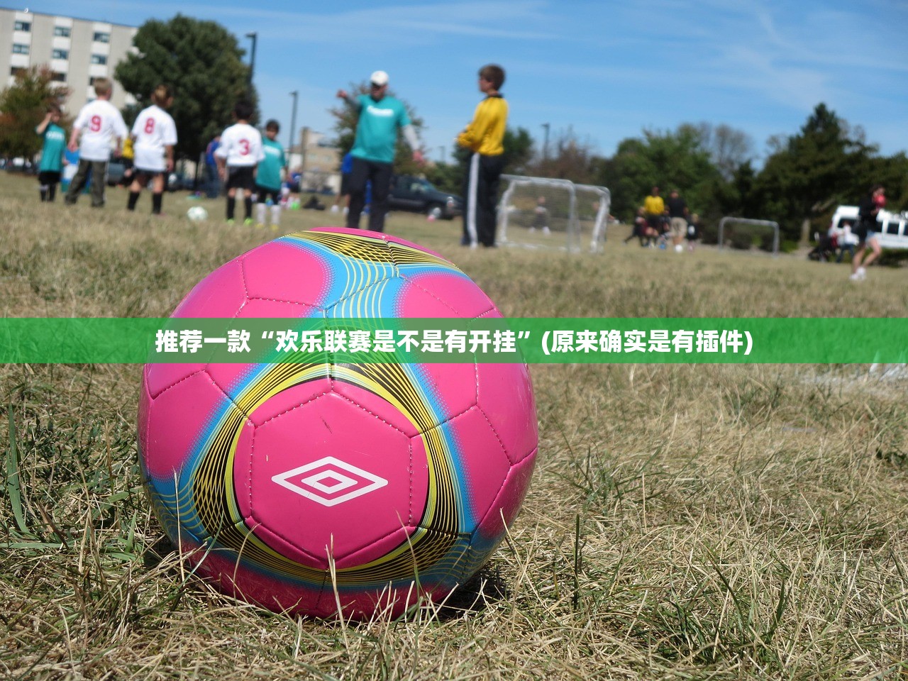 推荐一款“欢乐联赛是不是有开挂”(原来确实是有插件)