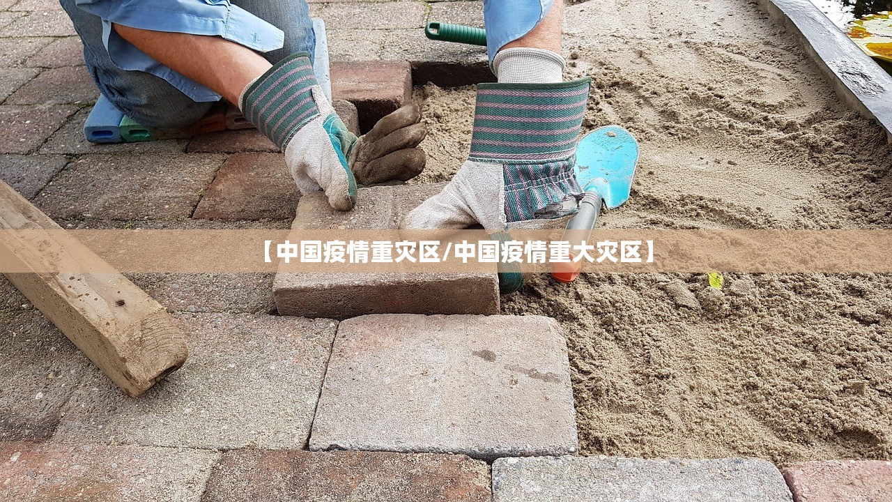 【中国疫情重灾区/中国疫情重大灾区】