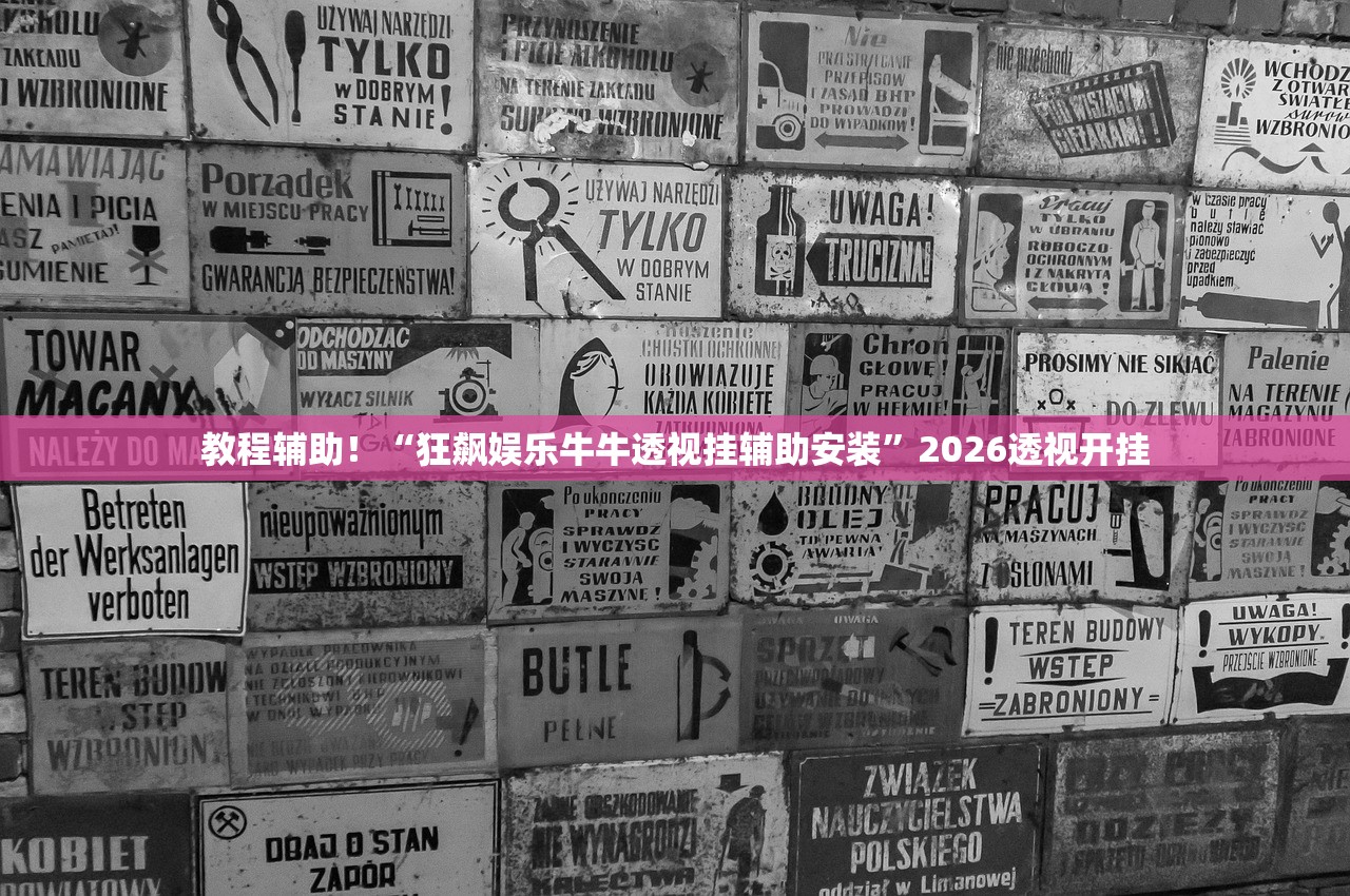 分享实测辅助“推大石28杠辅助软件”开挂(透视)辅助教程
