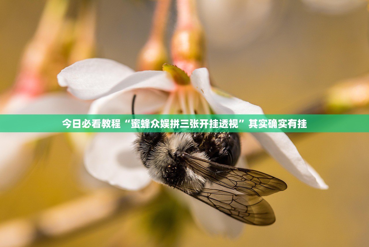 今日必看教程“蜜蜂众娱拼三张开挂透视”其实确实有挂