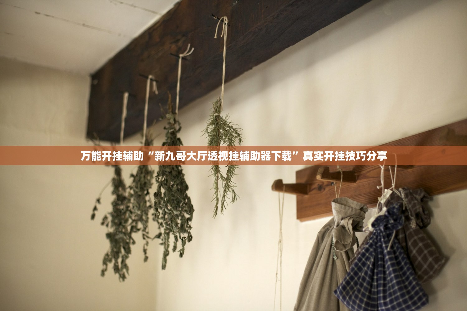软件分享“中至鹰潭麻将开挂”(曝光透视必备猫腻)