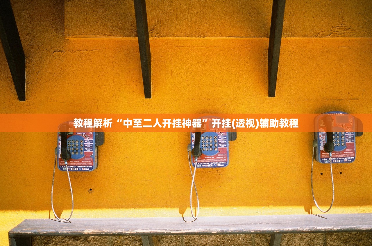 教程解析“中至二人开挂神器”开挂(透视)辅助教程