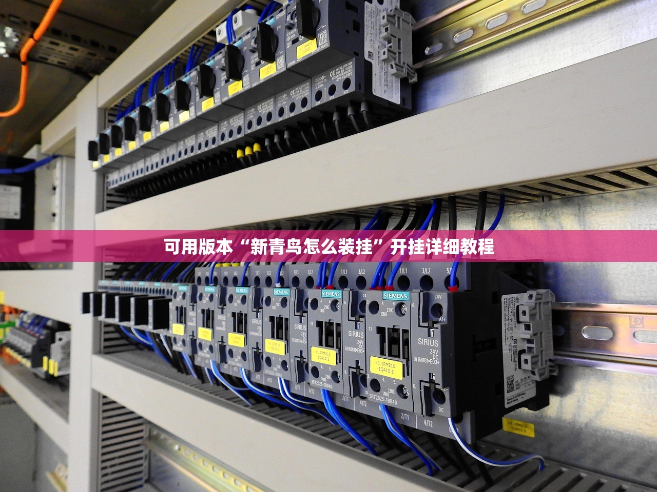 可用版本“新青鸟怎么装挂”开挂详细教程