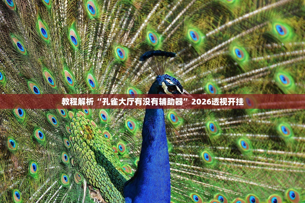教程解析“孔雀大厅有没有辅助器”2026透视开挂