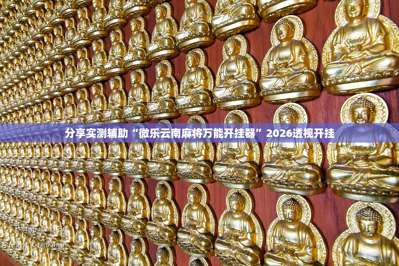 分享实测辅助“微乐云南麻将万能开挂器”2026透视开挂