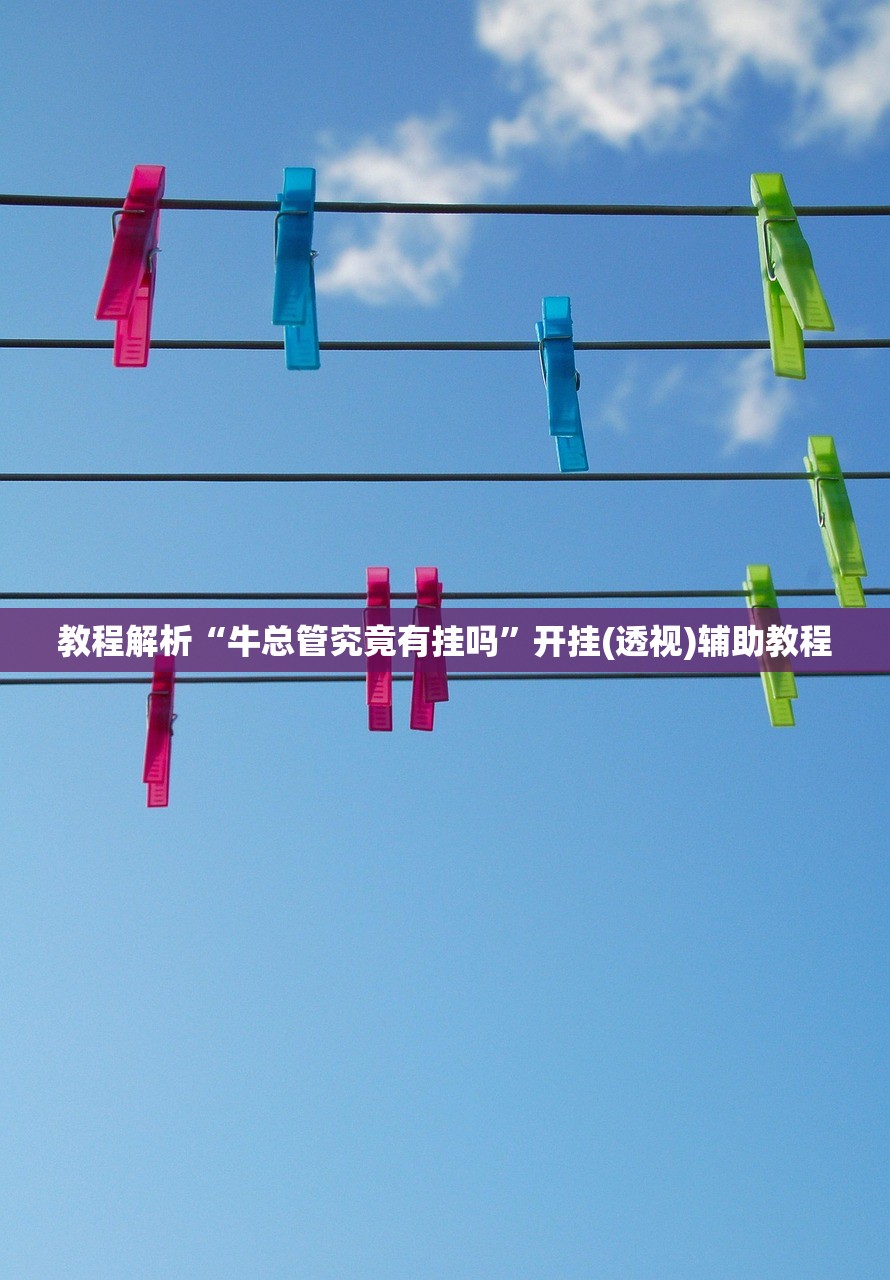 玩家必搜“掌酷十三张辅助神器	”2026开挂教程步骤