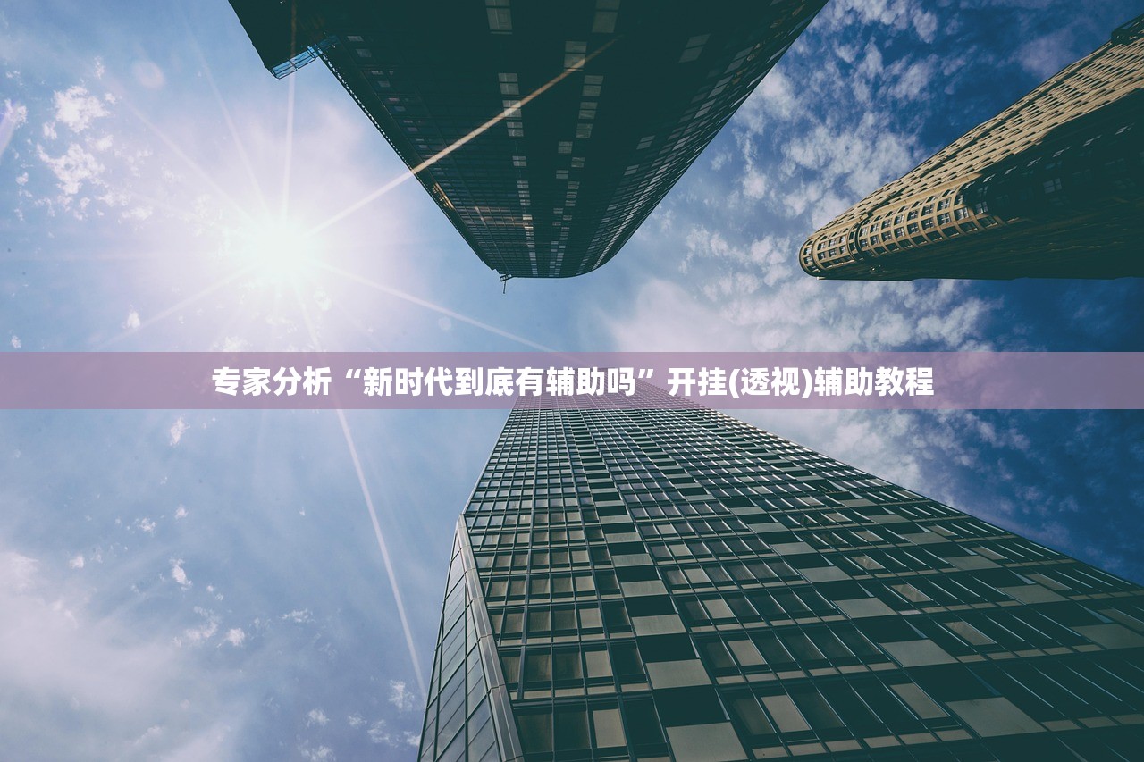 专家分析“新时代到底有辅助吗	”开挂(透视)辅助教程