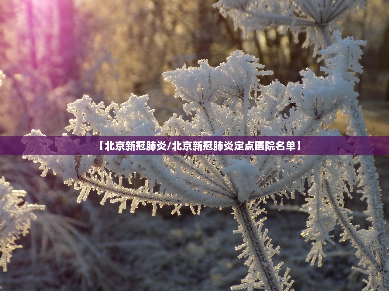 新疆：本轮疫情为史上防控难度最大.新疆疫情发展