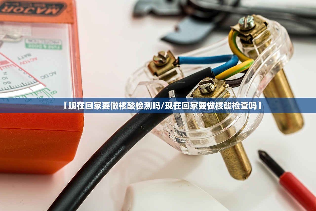 【现在回家要做核酸检测吗/现在回家要做核酸检查吗】 【现在回家要做核酸检测吗/现在回家要做核酸检查吗】