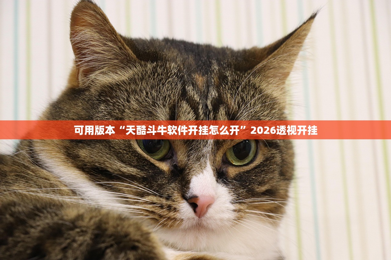 可用版本“天酷斗牛软件开挂怎么开”2026透视开挂