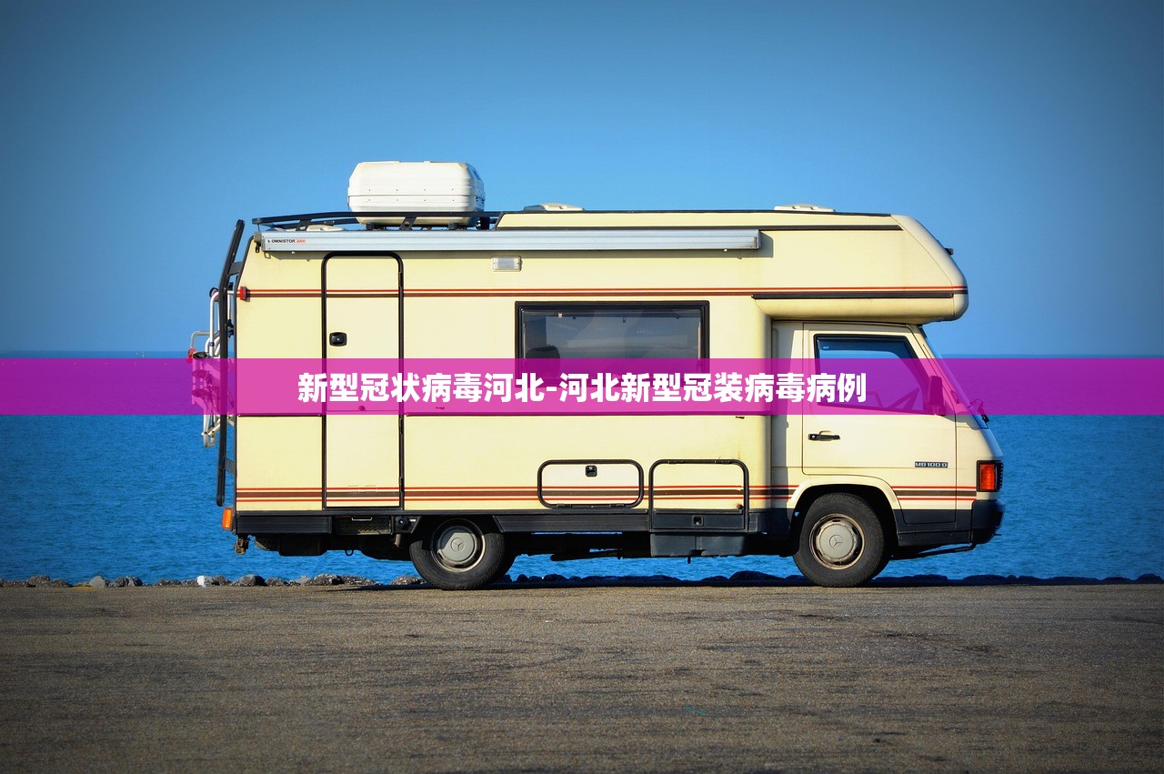 新型冠状病毒河北-河北新型冠装病毒病例