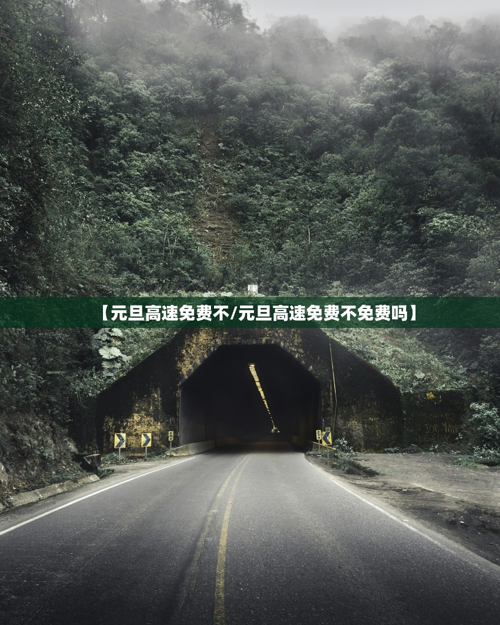 【元旦高速免费不/元旦高速免费不免费吗】