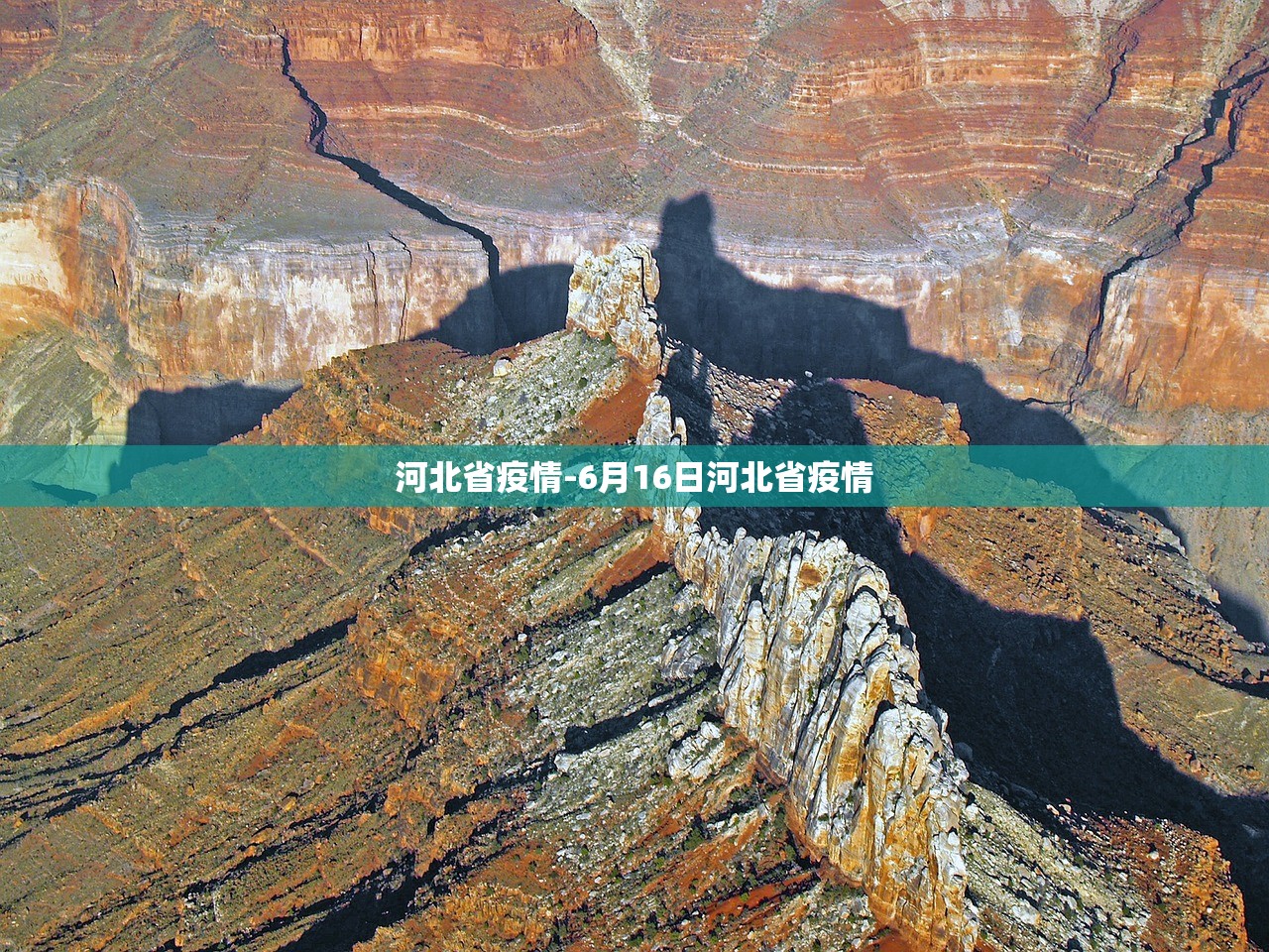 河北省疫情-6月16日河北省疫情