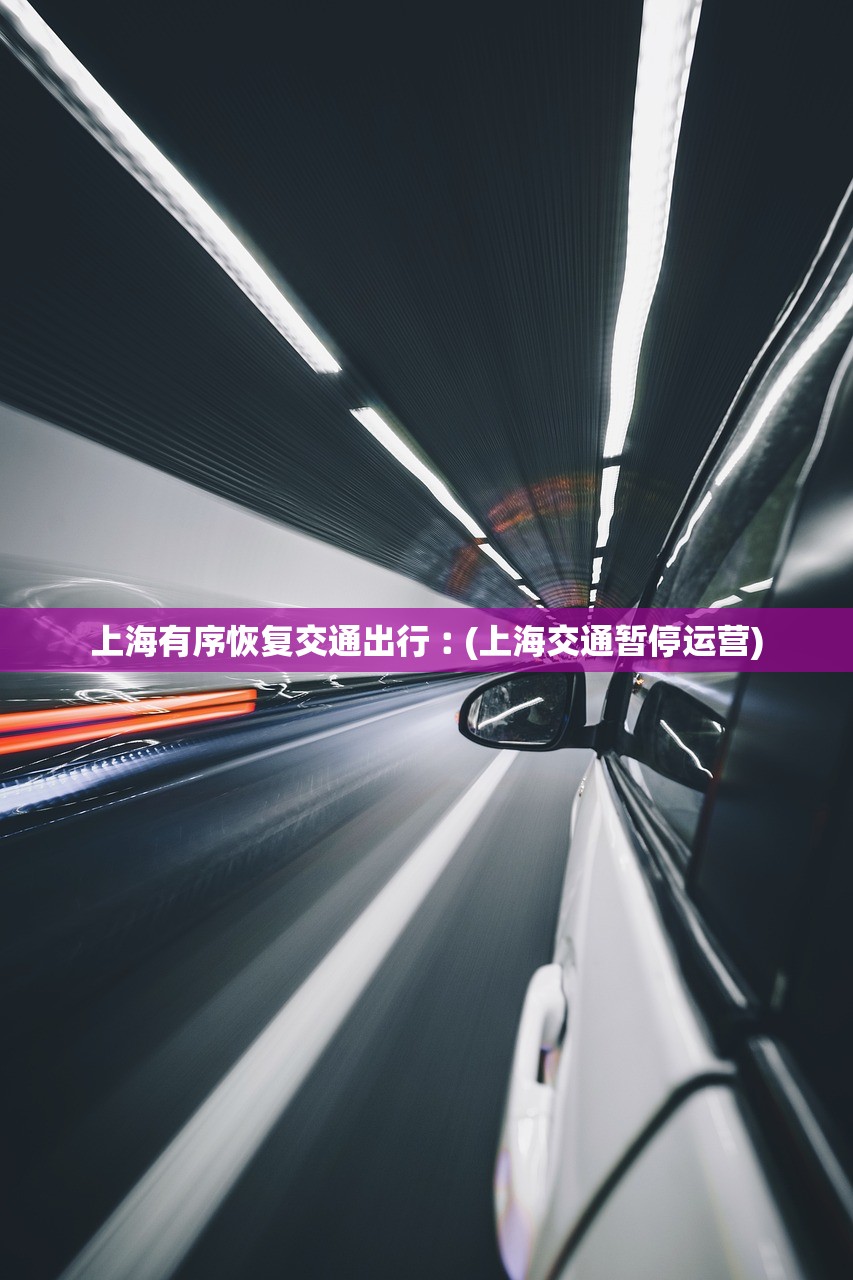 上海有序恢复交通出行︰(上海交通暂停运营)