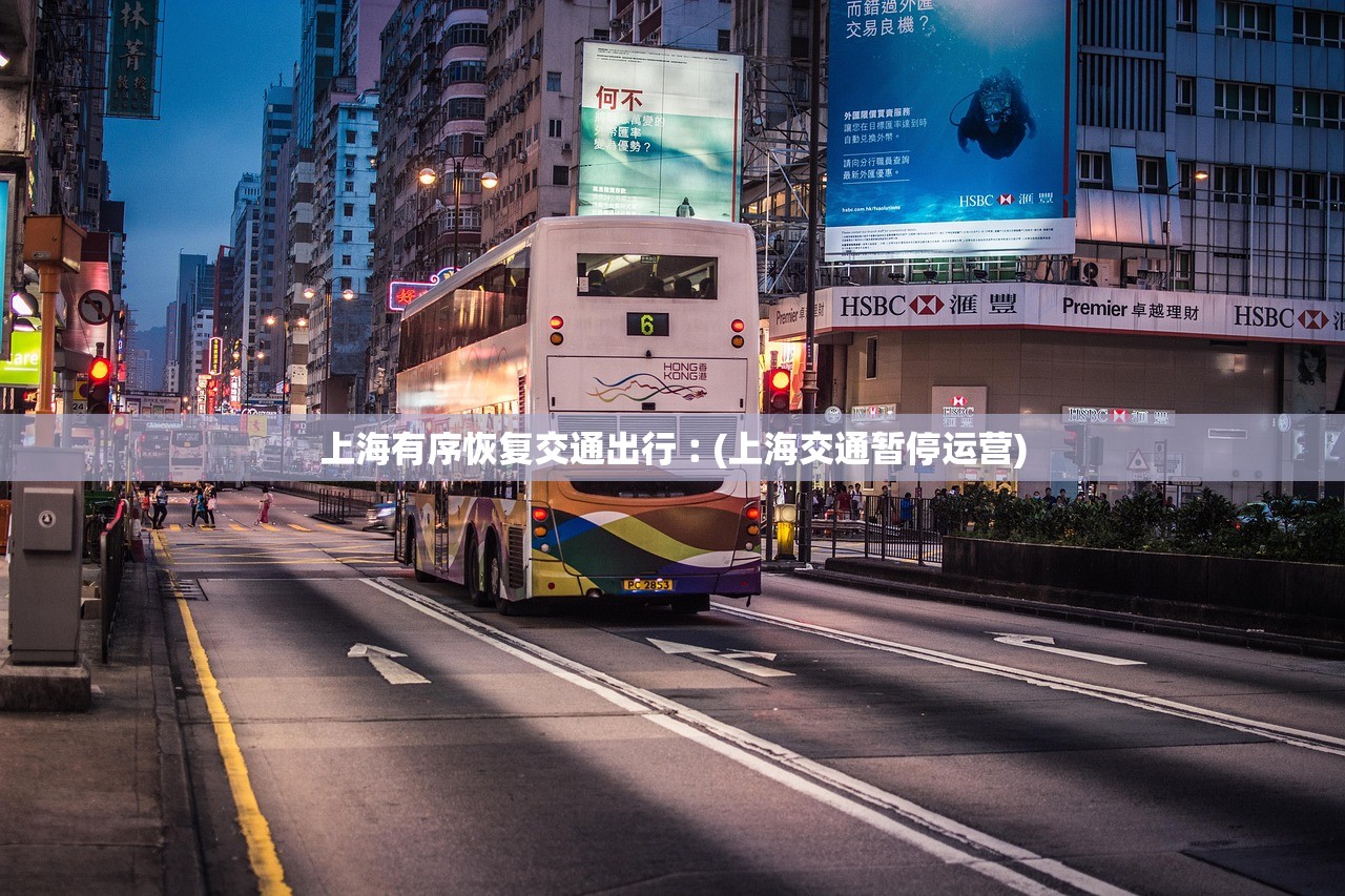 上海有序恢复交通出行︰(上海交通暂停运营)