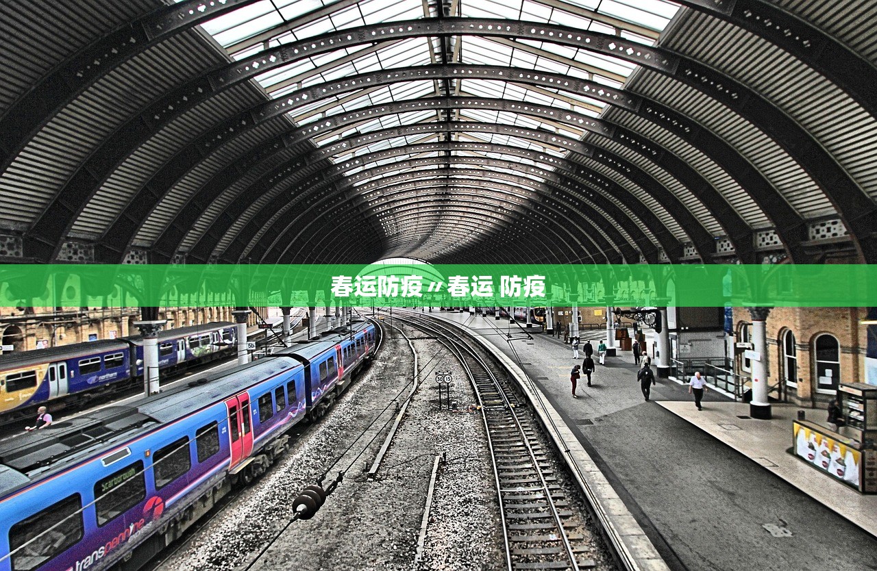 春运防疫〃春运 防疫