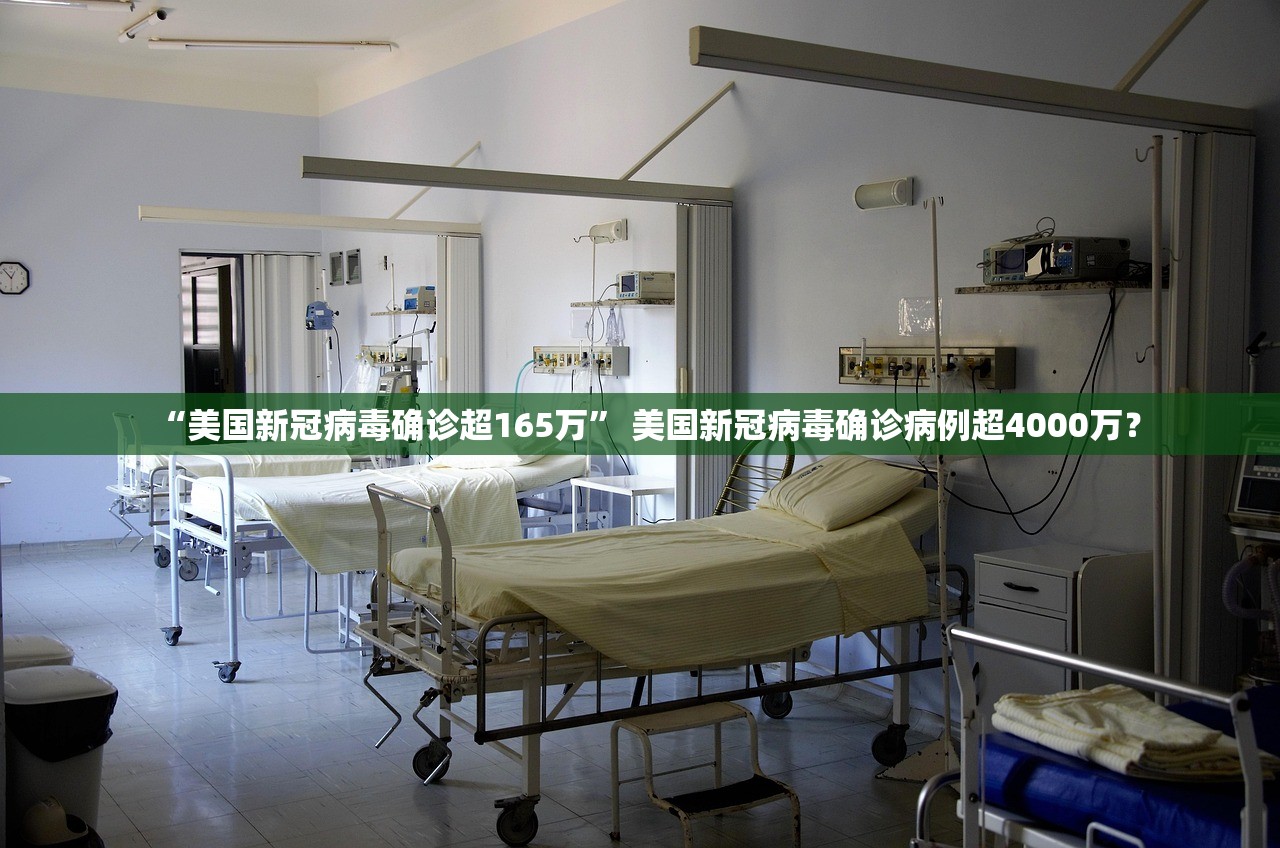 “美国新冠病毒确诊超165万” 美国新冠病毒确诊病例超4000万？