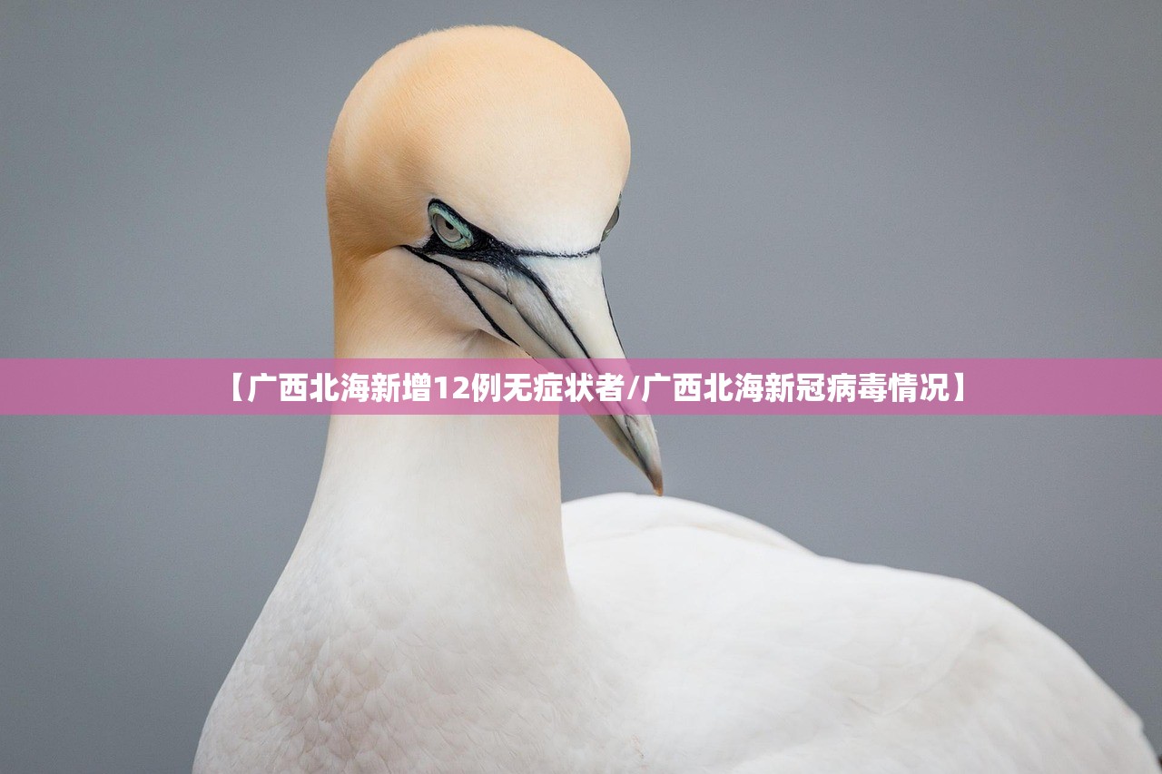 【广西北海新增12例无症状者/广西北海新冠病毒情况】