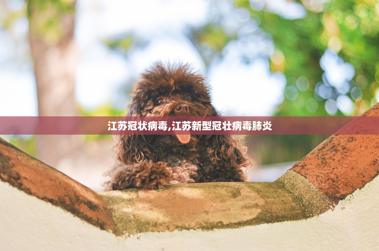 江苏冠状病毒,江苏新型冠壮病毒肺炎